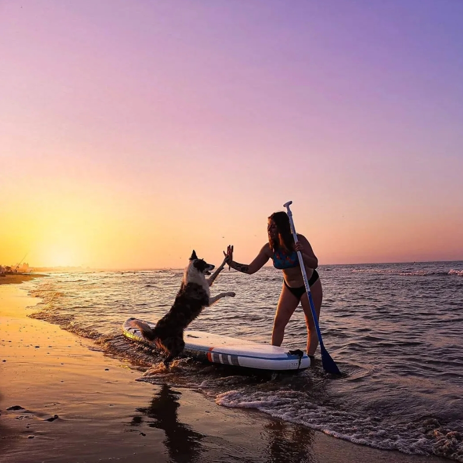 Amélia partageant un moment de confiance avec un chien